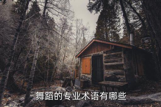 舞蹈的八个点是什么,空中划圈舞步轻盈柔软有弹性