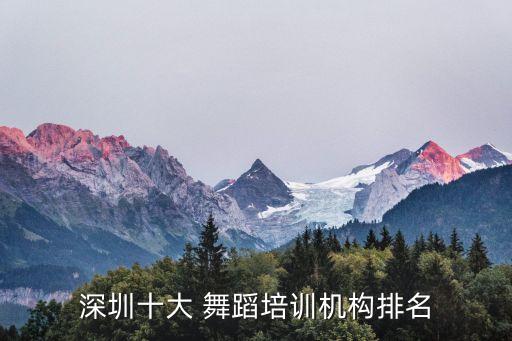 深圳市舞蹈协会,深圳交谊舞蹈团队