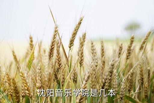 沈阳市舞蹈学校图片,沈阳音乐学院是一所艺术类大学