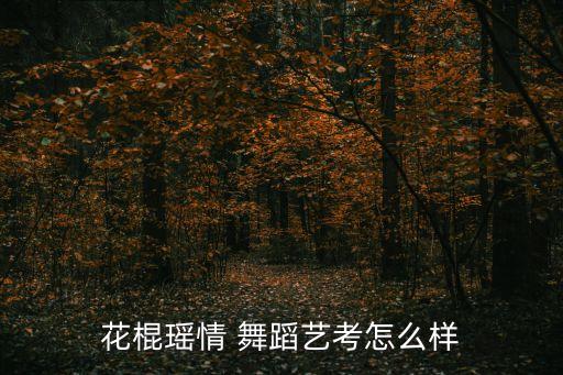 花棍瑶情 舞蹈艺考怎么样