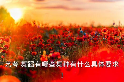 艺考 舞蹈有哪些舞种有什么具体要求!
