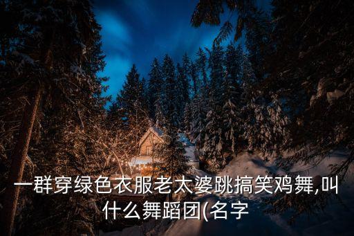 赞美一支老年舞蹈队,第二集:老年大学舞蹈队以木木为主要队伍