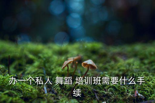 怎样开办少儿舞蹈培训,加入街舞品牌培训机构有何流程?
