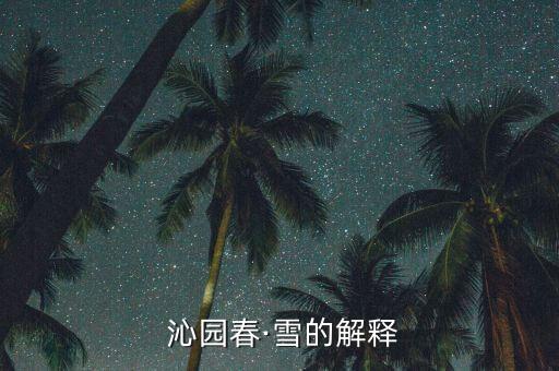  沁园春·雪的解释