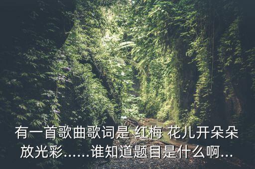 有一首歌曲歌词是 红梅 花儿开朵朵放光彩……谁知道题目是什么啊...