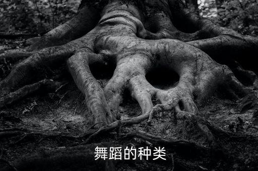  舞蹈的种类