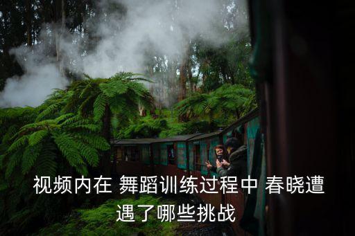 小学的春晓舞蹈视频,舞蹈是培养孩子教育的机会春晓要做什么?