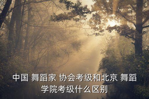北舞和舞蹈协会,北京舞蹈学院简称北舞(bda)