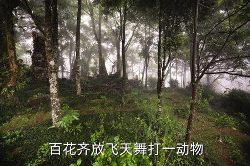  百花齐放飞天舞打一动物
