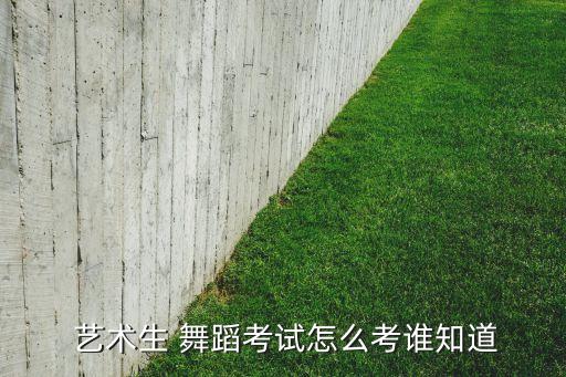  艺术生 舞蹈考试怎么考谁知道