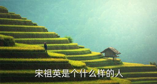 宋祖英舞蹈,宋祖英演唱国语歌曲《越来越好》被收录