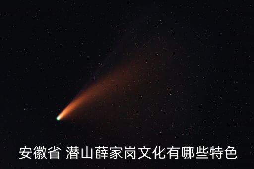  安徽省 潜山薛家岗文化有哪些特色