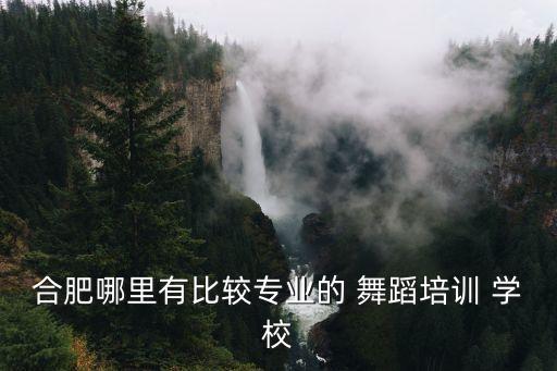 安徽哪里有舞蹈艺术学校,合肥哪里可以找到专业舞蹈-3/bb