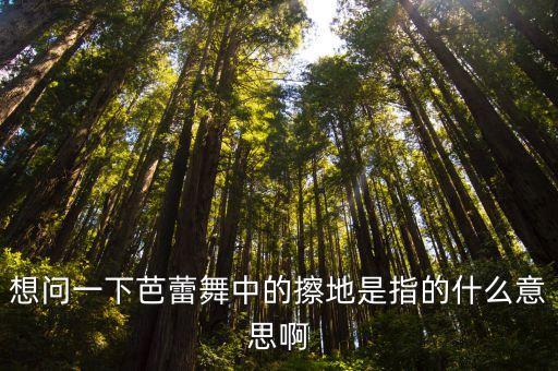 舞蹈擦地主要训练什么,芭蕾基础训练新动作:擦地板转圈