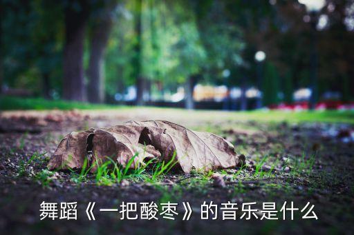  舞蹈《一把酸枣》的音乐是什么