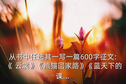 一朵舞蹈云裳,南阳民间舞蹈学校成为南阳第一品牌舞蹈培训行业