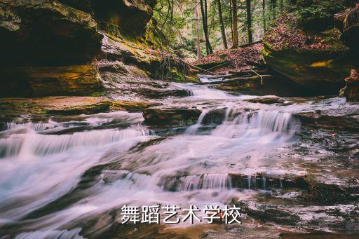 舞蹈比赛牌匾,与荷花共舞贵州舞蹈获中国舞蹈资牌匾