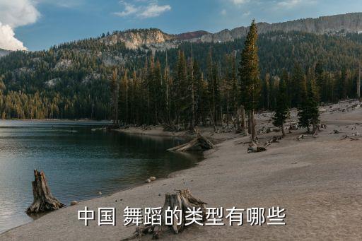 中国 舞蹈的类型有哪些