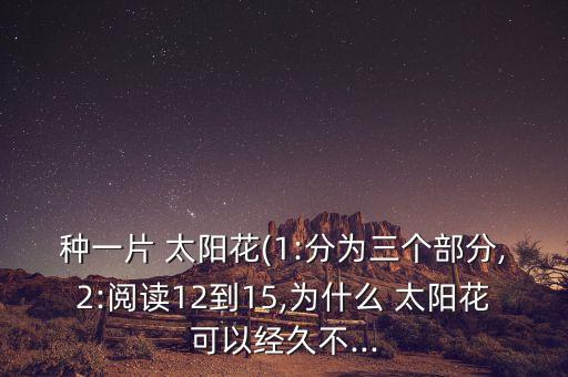 舞蹈赏析一片太阳花,创意!太阳花书让太阳华翔绽放