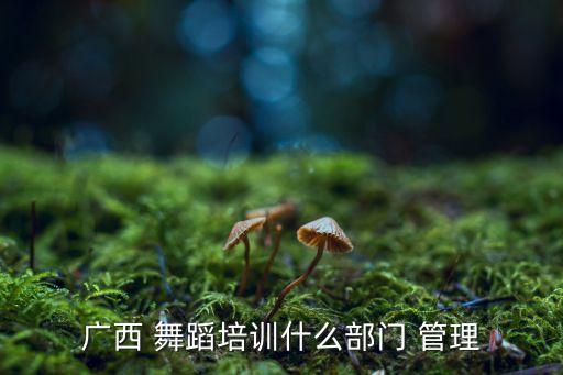 舞蹈管理,艺术培训班归教育局管理须遵守什么原则?