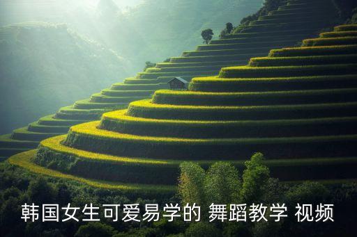baby吹舞蹈视频,从零基础到专家级舞者的蜕变
