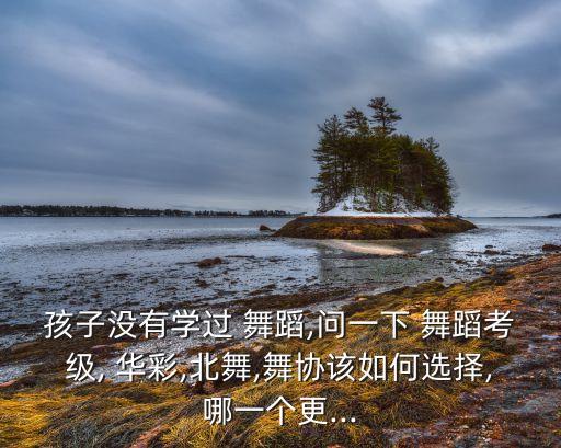孩子没有学过 舞蹈,问一下 舞蹈考级, 华彩,北舞,舞协该如何选择,哪一个更...