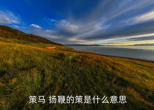 策马扬鞭舞蹈独,一文读懂!选票从何而来?