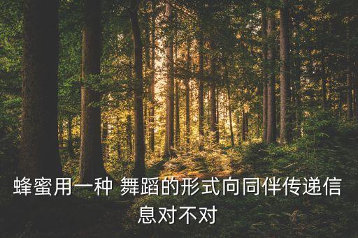 蜂蜜用一种 舞蹈的形式向同伴传递信息对不对
