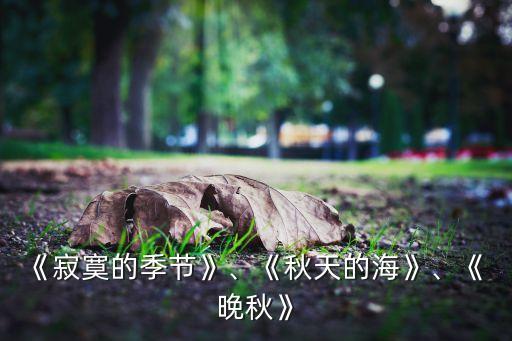 晚秋毛宁舞蹈,杨钰莹和毛宁第二首名曲