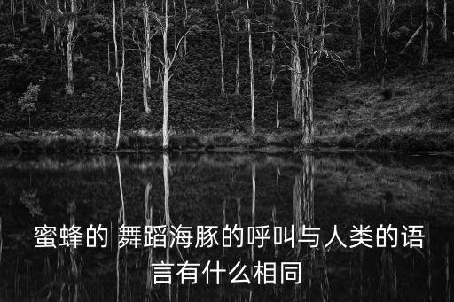 蜜蜂的舞蹈动作视频,蜜蜂摇尾巴舞传递信息形式不止一种