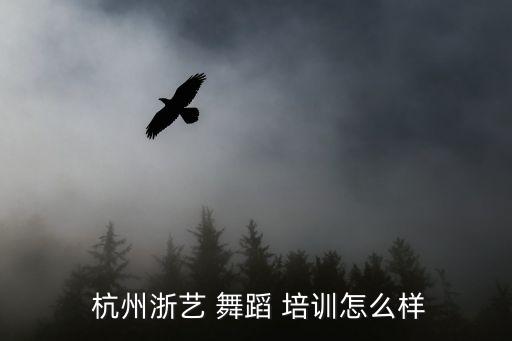  杭州浙艺 舞蹈 培训怎么样