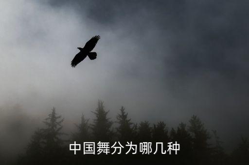 星舞舞蹈,星耀游戏中国舞者等级以五角星标识