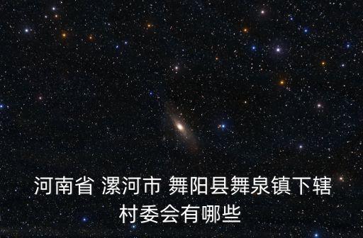  河南省 漯河市 舞阳县舞泉镇下辖村委会有哪些