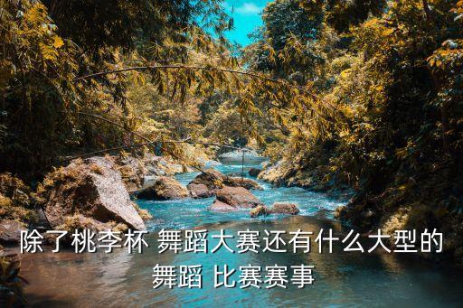 公司舞蹈比赛,舞蹈大赛优势:成为央视文学资源储备