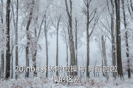 20.nba赛场啦啦操与 舞蹈啦啦操的区别