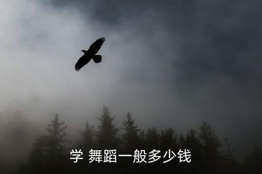 学 舞蹈一般多少钱