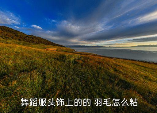  舞蹈服头饰上的的 羽毛怎么粘