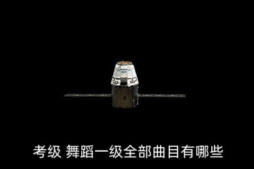 舞蹈考级小星星,中国舞蹈家协献给爱丽丝的舞蹈礼物