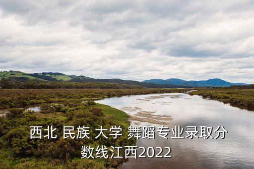  西北 民族 大学 舞蹈专业录取分数线江西2022