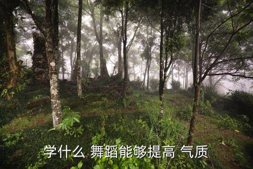 学什么 舞蹈能够提高 气质