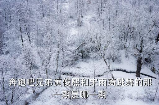  奔跑吧兄弟黄俊熙和宋雨琦跳舞的那一期是哪一期