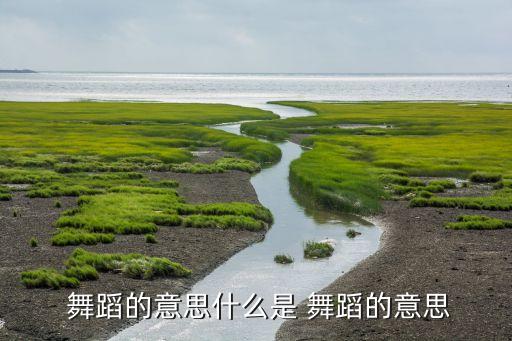 舞蹈意象的意思,比较文学名词解释:象征主观感受客观形象