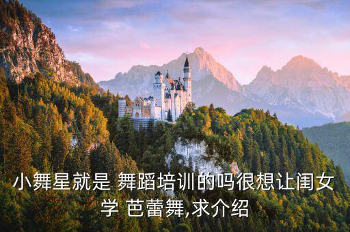小舞星就是 舞蹈培训的吗很想让闺女学 芭蕾舞,求介绍