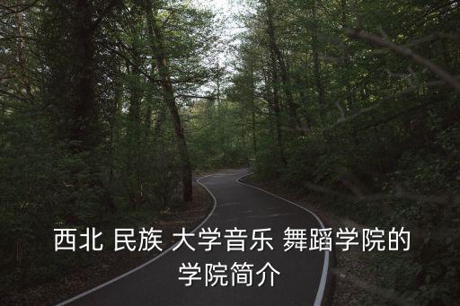 西北民族大学舞蹈视频,西北民大舞蹈系专业考生成绩达到省级