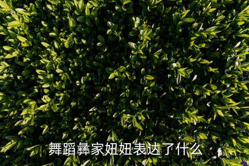  舞蹈彝家妞妞表达了什么