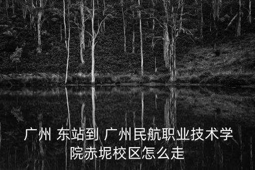  广州 东站到 广州民航职业技术学院赤坭校区怎么走