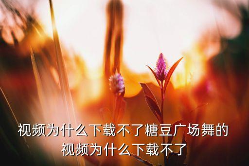  视频为什么下载不了糖豆广场舞的 视频为什么下载不了