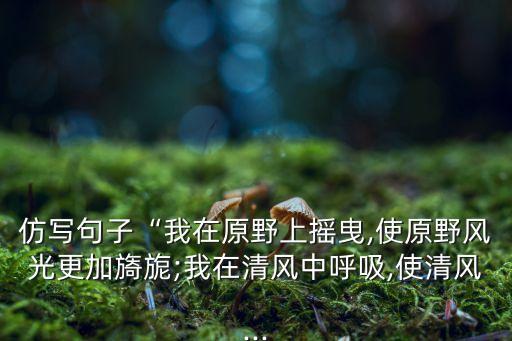 仿写句子“我在原野上摇曳,使原野风光更加旖旎;我在清风中呼吸,使清风...