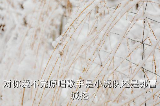 对你爱不完原唱歌手是小虎队还是郭富城挖