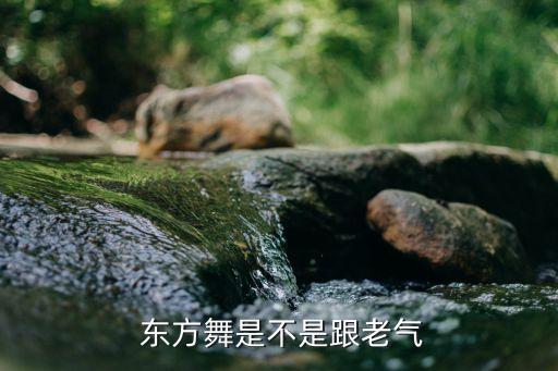 鲁山东方舞蹈,东方演艺集团:东方舞蹈不老土吸引西方女性
